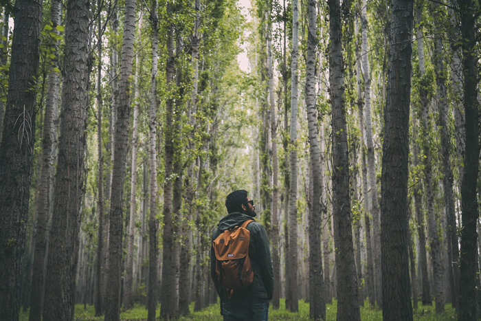 یک مرد با کوله پشتی نارنجی در جنگل و یافتن مسیرش بدون نقشه و قطب نما