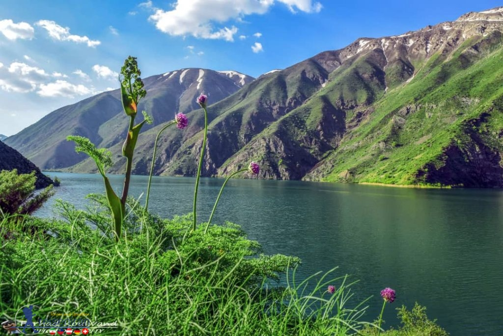 دریاچه گهر لرستان مکان کمپینگ بهاری